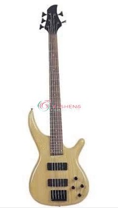 5-String Electric Bass Guitar