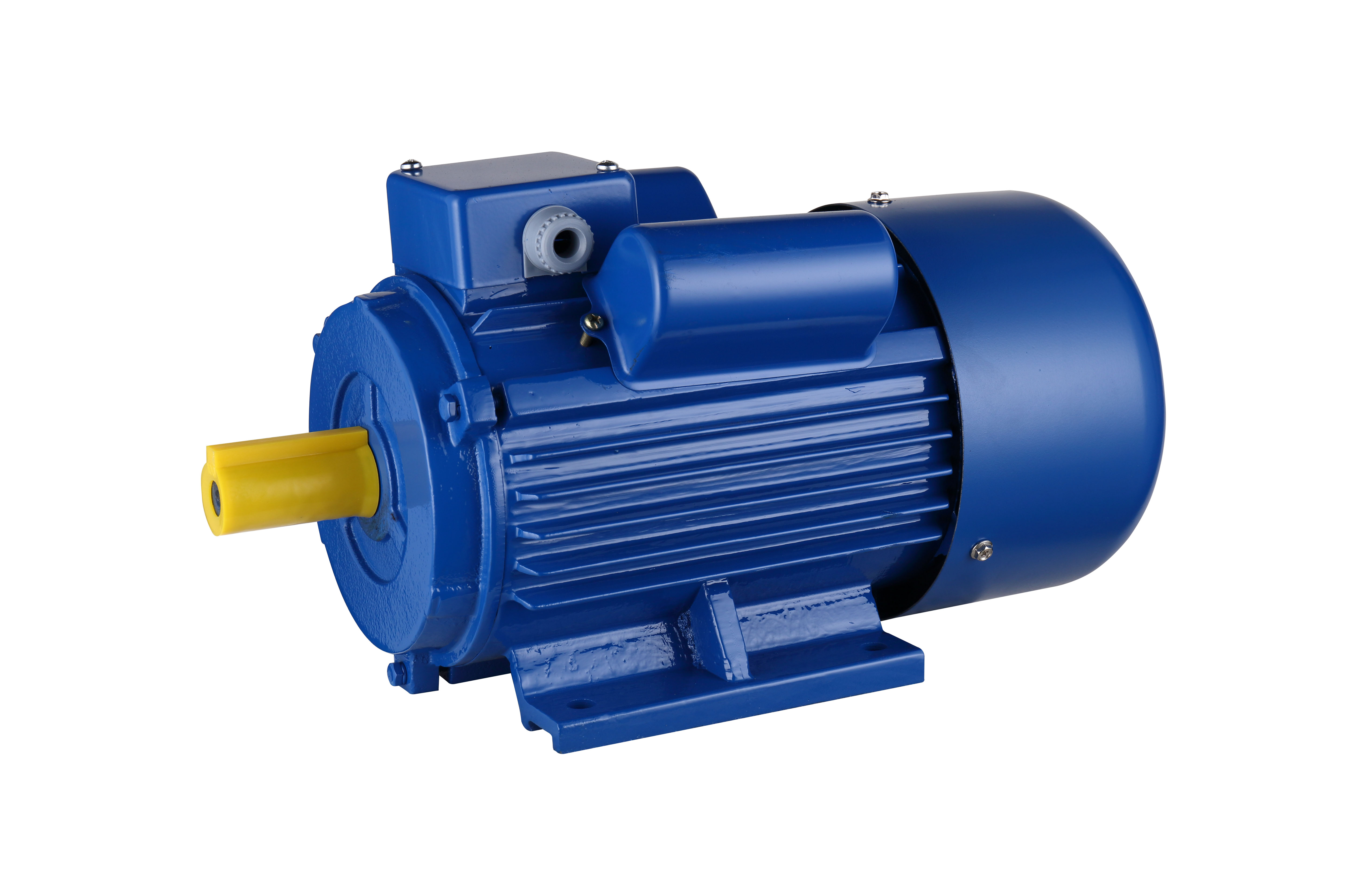 AC Induction Electric Motor