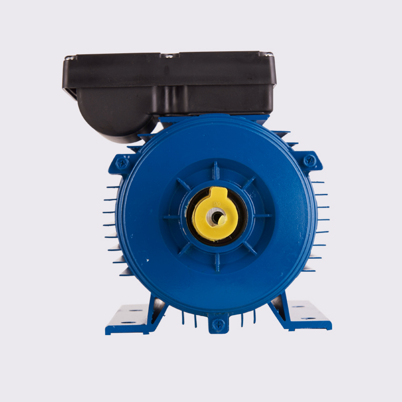 Single-Phase Capacitor-Start Asynchronous Motor