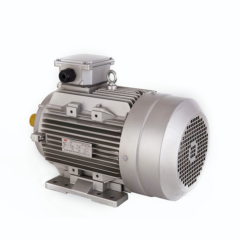 Two-Speed Pole-Changing Asynchronous Motor