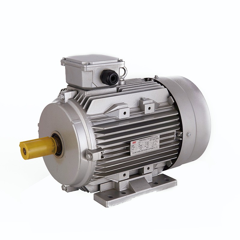 YE2 series IEC B3 mounted three phase asynchronous motor - Image 3