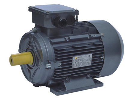 Premium Efficiency Three-Phase AC Motor