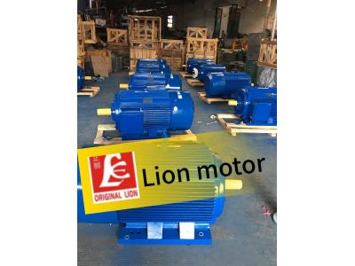 YE3 SERIES THREE PHASE induction motor - Image 2