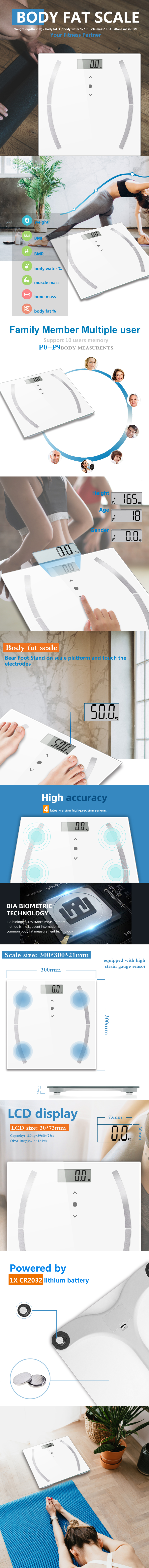 Detailed view of body composition scale features and sensor technology