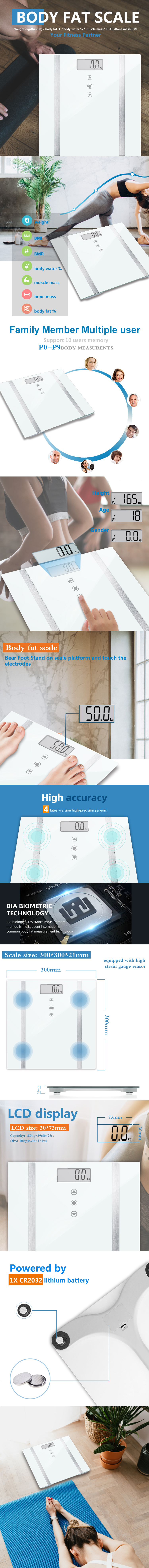 Digital body fat scale features and specifications infographic