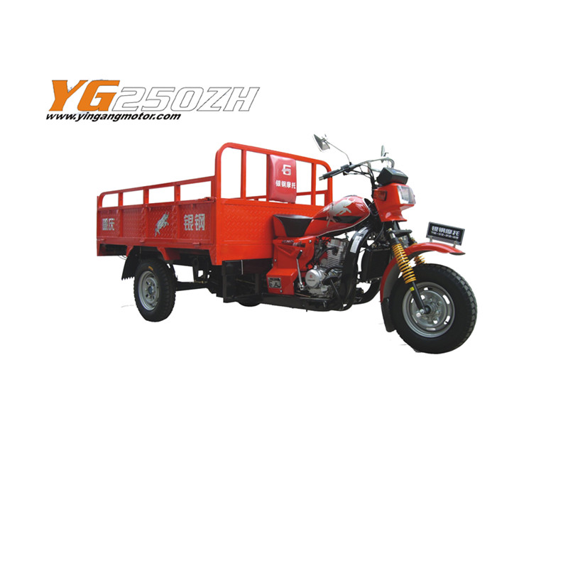 Yingang Tricycle--YG200ZH - Image 3