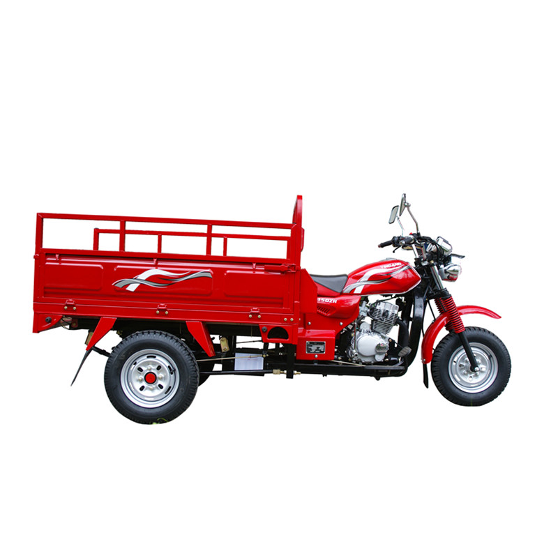Yingang Tricycle--YG200ZH - Image 2