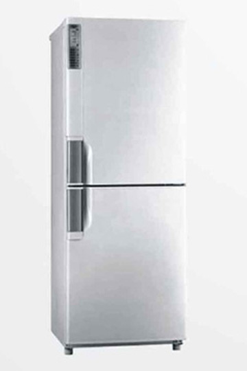 Two-Door Refrigerator with Adjustable Shelves