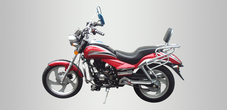 YL-200 - Image 3