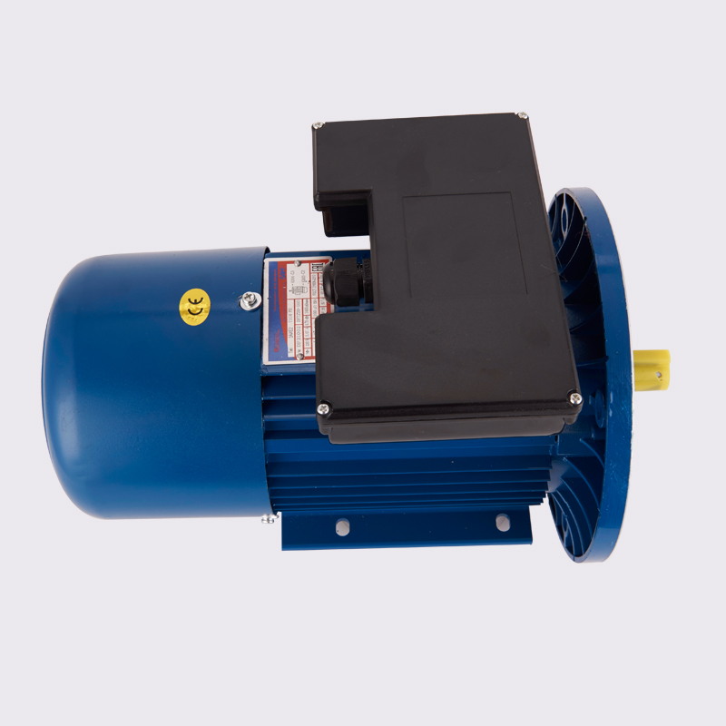YLD series single phase pole-changing two-speed asynchronous motor - Image 2