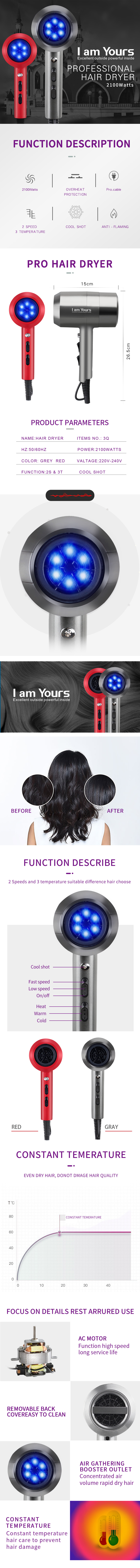 Professional AC motor hair dryer with detailed product parameters