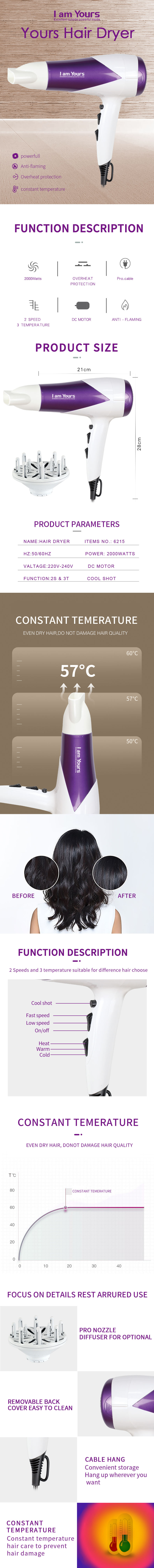 Comprehensive technical overview of the hair dryer features and parameters