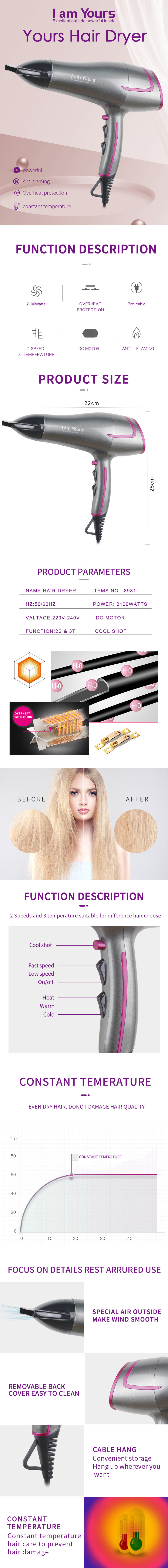 Technical features and dimensions overview of the 2100W hair dryer