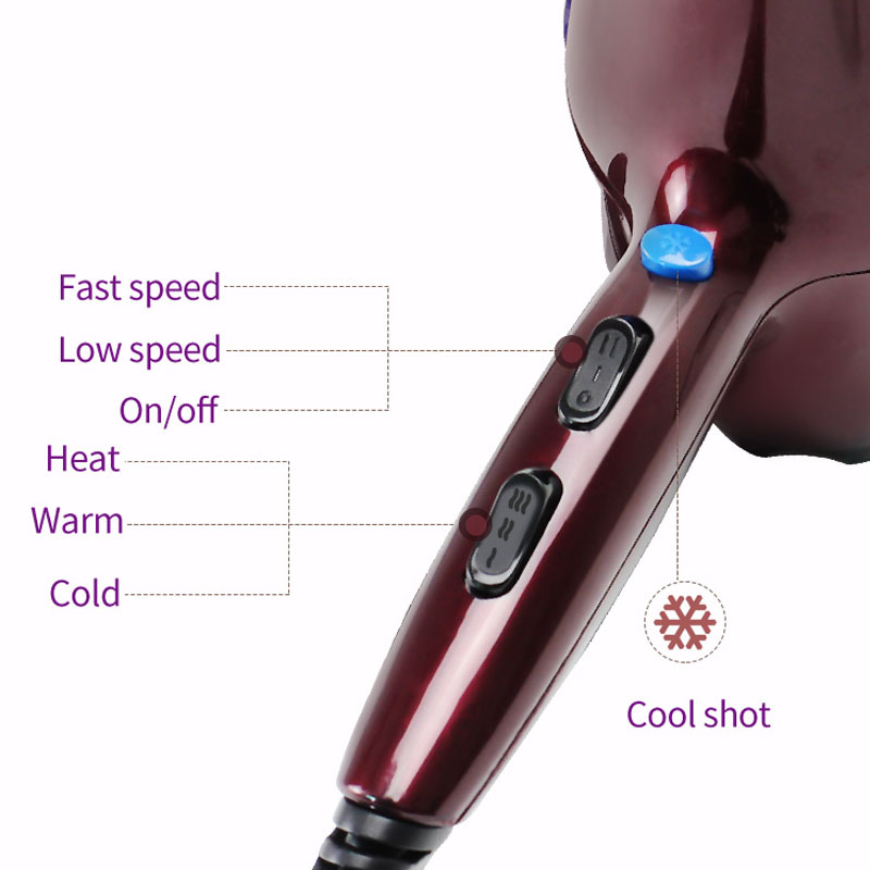 Professional AC Motor Hair Dryer