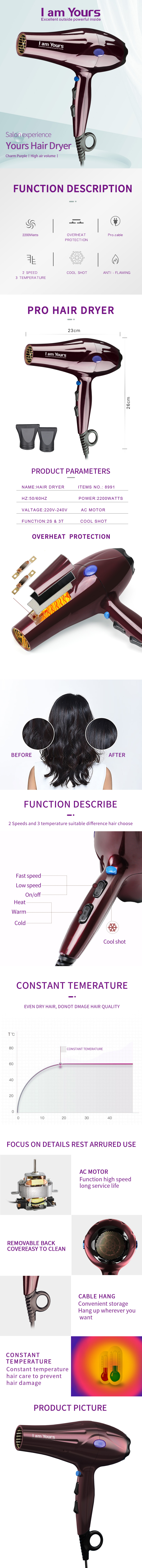 Product diagram and technical parameters of the professional AC hair dryer