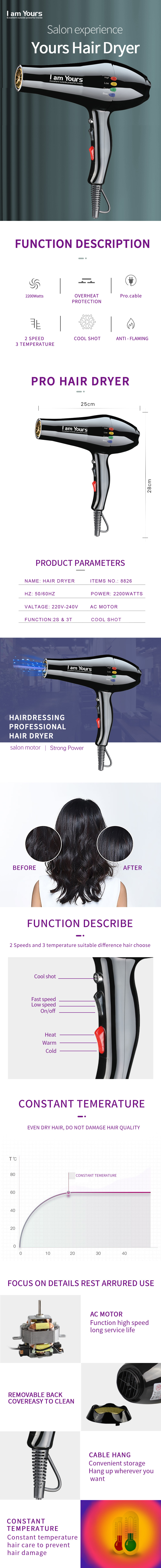 Professional Hair Dryer features and specifications overview