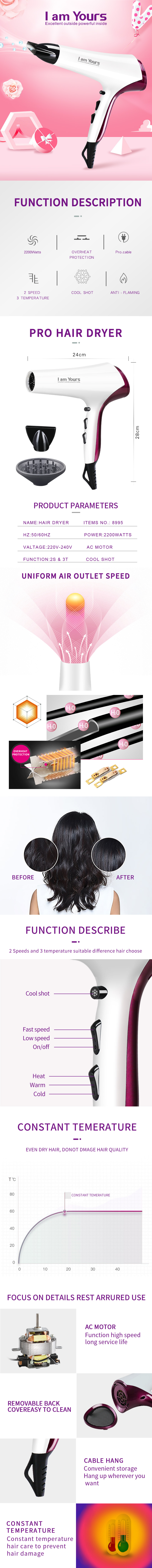 Detailed view of hair dryer technical specifications and features