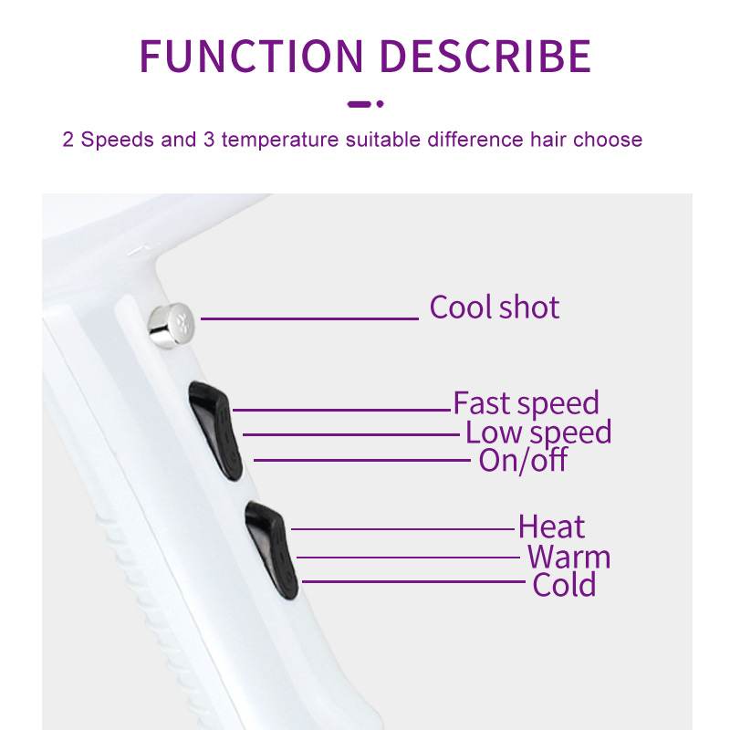 AC Motor Hair Dryer with Diffuser
