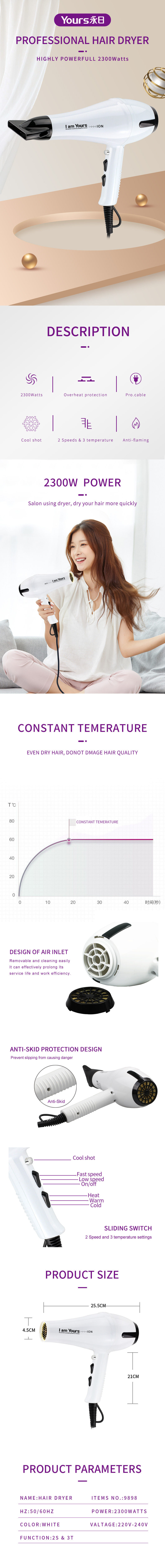 Professional hair dryer with technical diagram and feature overview