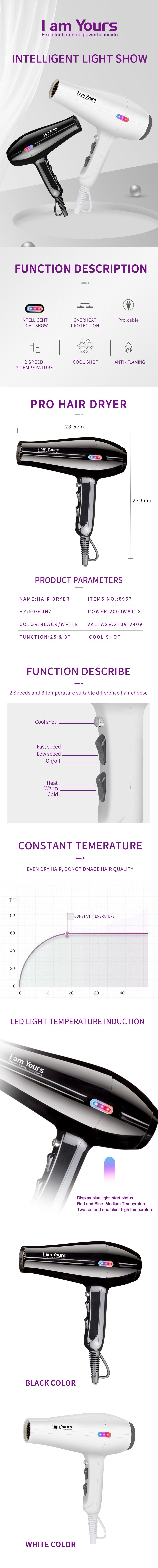Professional hair dryer with technical display and accessories