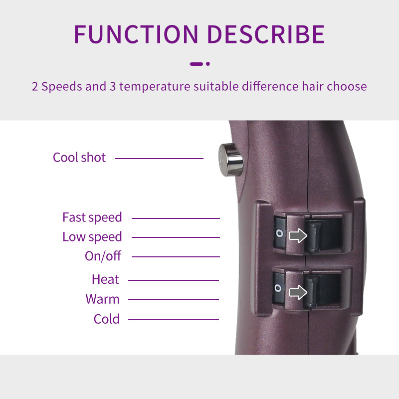 Professional AC Motor Hair Dryer with Concentrator Nozzles