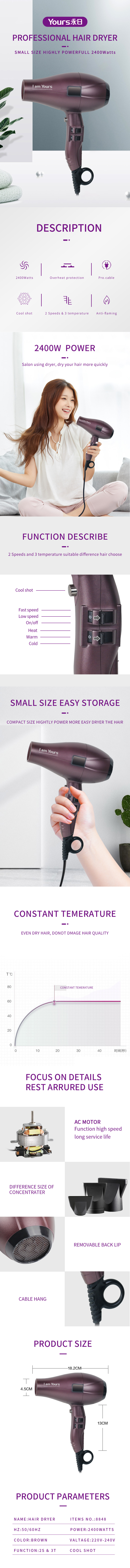 Professional hair dryer with multiple settings and nozzle attachments
