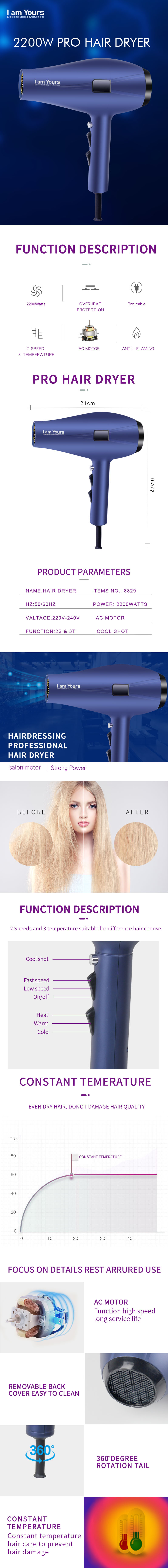 Professional hair dryer showing overall design and key technical specifications