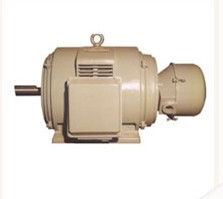 Industrial Three-Phase Electric Motor