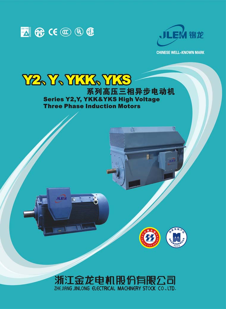High Voltage Three-Phase Induction Motor