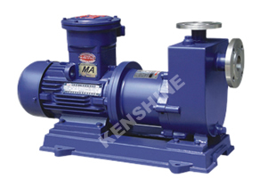ZCQ Self priming magnetic pump - Image 3