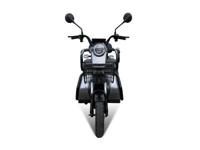 ZJ - Image 2