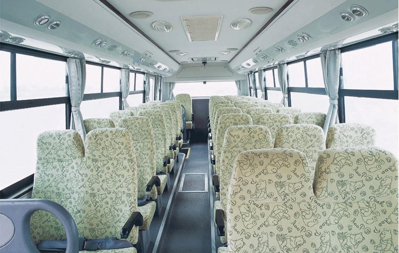 School Bus for Student Transportation