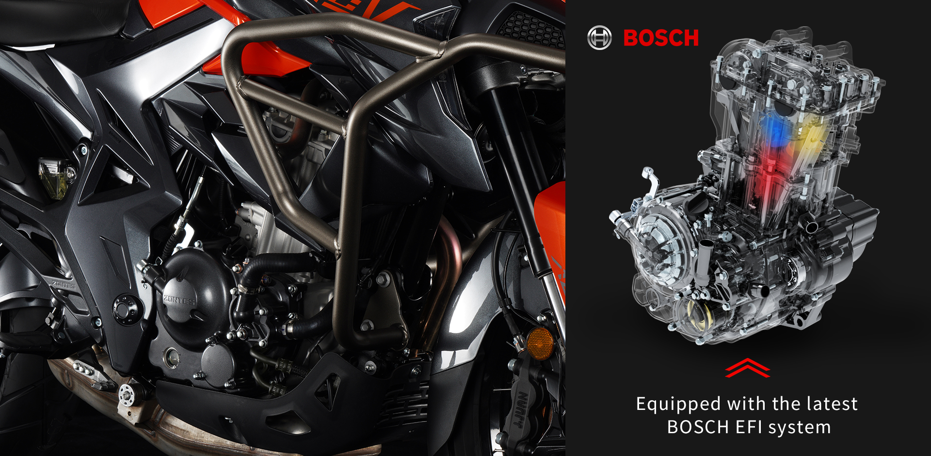 BOSCH EFI system view