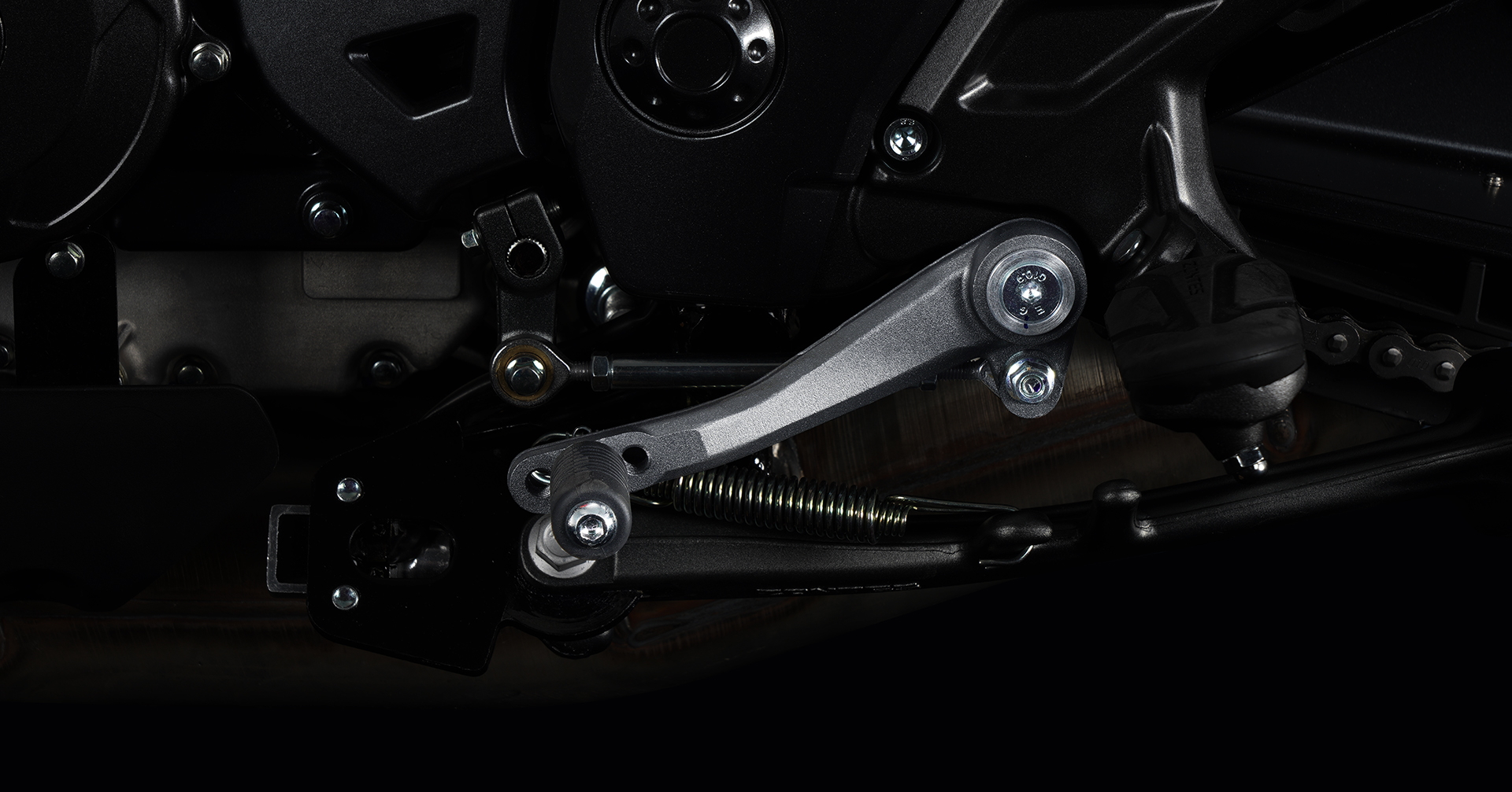 Detail of rear wheel and radial tire