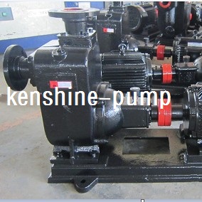 ZW Self priming sewage centrifugal pump waste water treatment - Image 2