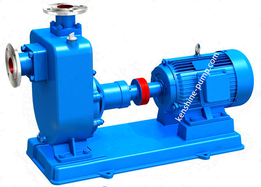 ZX Self priming pump - Image 3