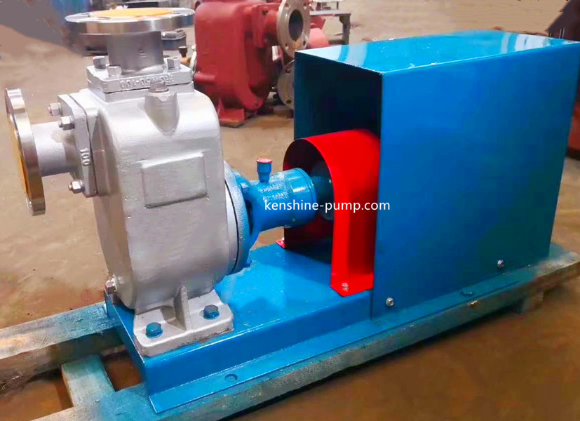 ZX Self priming pump - Image 2