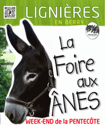 FOIRE AUX ÂNES ET AUX MULES DE LIGNIÈRES 2026