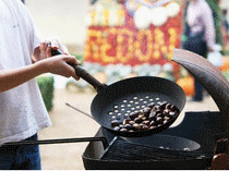 FOIRE TEILLOUSE - GRANDE FOIRE AUX MARRONS 2026