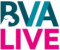 BVA LIVE 2026